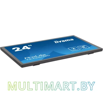 Монитор Iiyama ProLite T2455MSC-B1 картинка 2